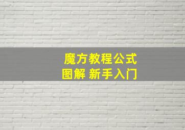 魔方教程公式图解 新手入门